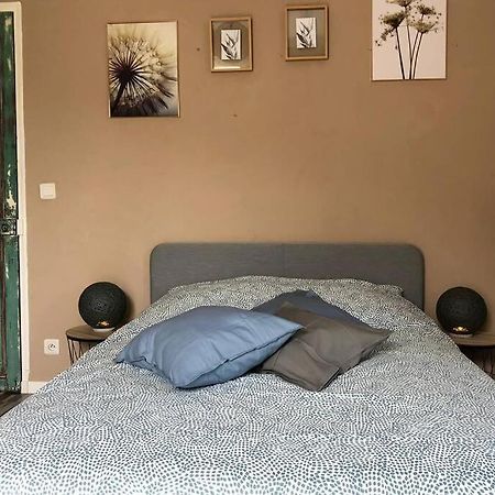 Appart Renove 2 Chambres Avec Clim Л'Иль-сюр-ла-Сорг Экстерьер фото